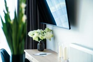 TV a/nebo společenská místnost v ubytování Apartamenty I SORAU