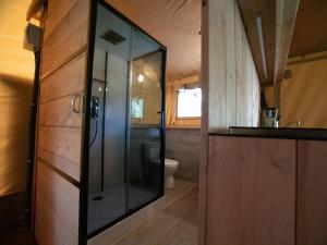 雷讷瑟Ecolodges De Dreef的带马桶的浴室里的玻璃淋浴间