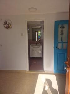 a bathroom with a sink and a blue door at Jurilovca in Jurilovca