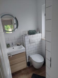 a bathroom with a toilet and a sink and a mirror at Ferienwohnung Schwingestraße in Dinghorn