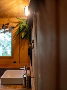 雷讷瑟Ecolodges De Dreef的相册照片