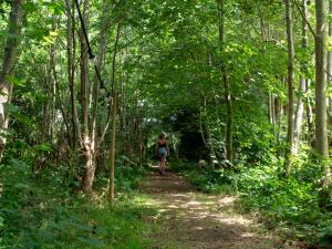 入住Ecolodges De Dreef的客人