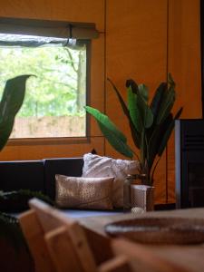 Ecolodges De Dreef的休息区
