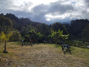 度假屋周边自然景观