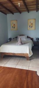 a bedroom with a bed in a room at Apartamento Siary 1 in Monteverde Costa Rica