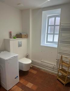 a bathroom with a toilet and a window at La maison papillon in Tonnerre +14 photos