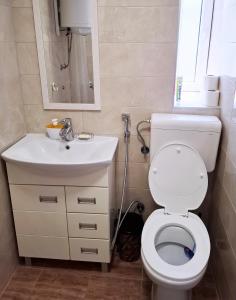 Koupelna v ubytování Apartman Adi