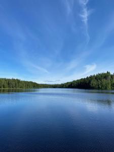 a large body of water with trees in the background at Rompelberg boende i Rättvik in Rättvik