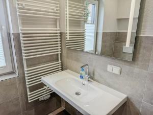 a bathroom with a sink and a mirror at Harz-Wohnung Natur pur in Benneckenstein