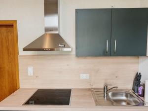 a kitchen with a sink and a stove top oven at Harz-Wohnung Natur pur in Benneckenstein