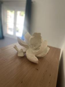 a white flower sitting on top of a wooden table at Grade 2 Cottage 1 bedroom, Ludlow centre in Ludlow