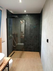 Un baño con ducha, inodoro y lavabo. en Kaszmirowy zakątek, en Augustów 2 fotos más
