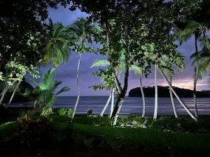 a view of the ocean from a resort with palm trees at La Sagesse Hotel, Restaurant and Beach Bar in Content