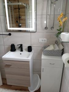 un bagno con lavandino, water e specchio di Planinska kuća Rabas a Bajina Bašta