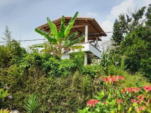 Foto sihtkohas Estación Angelópolis asuva majutusasutuse Casa Finca Minas galeriist