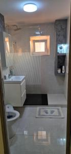 a bathroom with a toilet and a sink at Apartament Roman in Roman +7 photos