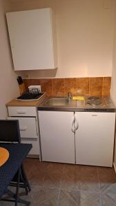 a kitchen with a sink and a counter at Vila Vesna in Gornji Karin