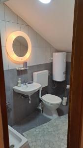 a bathroom with a toilet and a sink at Vila Vesna in Gornji Karin