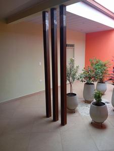 Zahrada ubytování Apartamento central Florida