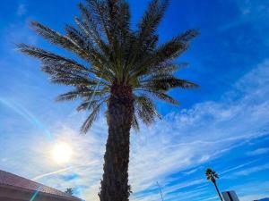 Galeriebild der Unterkunft Home In Indio Coachella in Indio + 33 Fotos