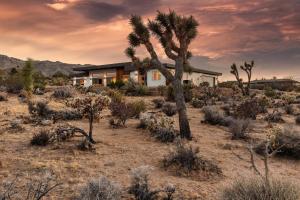 une maison dans le désert avec un palmier dans l'établissement Sundrop By The Cohost Company, à Joshua Tree