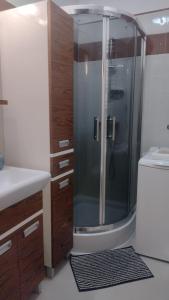 a bathroom with a shower and a sink at Apartament Pułaskiego in Rzeszów