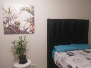 a bedroom with a black bed and a plant at Ekya in Randburg