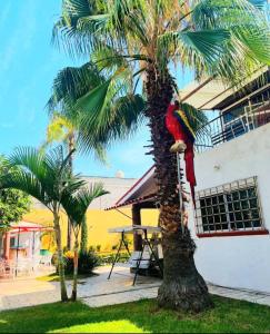 Afbeelding uit fotogalerij van Residencia Mirenick in Cuautlixco