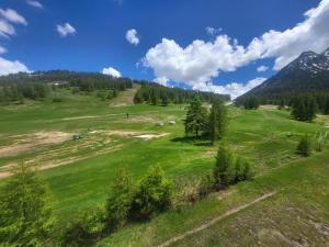 ein grünes Feld mit Bäumen und Tieren auf einem Hügel in der Unterkunft Duplex 3 chambres au pied des pistes à Montgenèvre - FR-1-266-230 in Montgenèvre