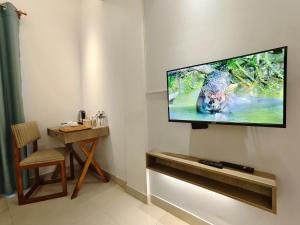 TV a/nebo společenská místnost v ubytování Hotel Nandini