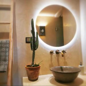 a cactus sitting on a counter in front of a mirror at TEDDY PIRATE - Coliving in Taghazout +30 photos