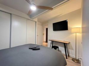 TV a/nebo společenská místnost v ubytování Pénitents Gris - 100m du Capitole - Beau T3 - parking