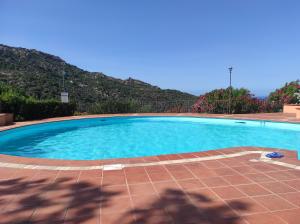 Πισίνα στο ή κοντά στο Appartamenti con piscina - Appartamentiflarida Porto Cervo