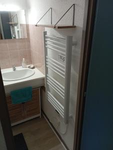 La salle de bains est pourvue d'un lavabo, de toilettes et d'un miroir. dans l'établissement Appartement au Cœur du Col de Rousset, à Saint-Agnan-en-Vercors