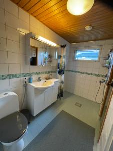 a bathroom with a sink and a toilet and a mirror at Helsinki Hallainvuori yksityismajoitus in Helsinki