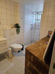 Ένα μπάνιο στο Rooms with free parking +21 φωτογραφίες