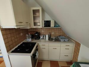 Kuchyňa alebo kuchynka v ubytovaní Three Family Apartments