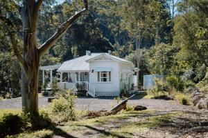 Gracie Cottage Romantic Secluded Hinterland Escape for 2 في مابيلتون: بيت ابيض صغير في ساحه فيها شجرة