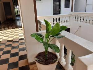 Foto sihtkohas Villa Concepción asuva majutusasutuse Hotel Victoria galeriist