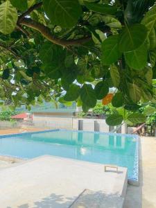 Πισίνα στο ή κοντά στο Homestay Nàng Lèng +10 φωτογραφίες