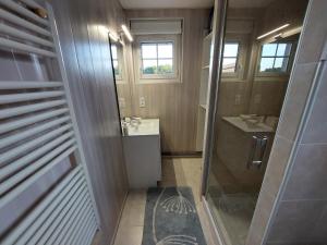 a small bathroom with a shower and a sink at Entre Tours et Loches in Tauxigny +9 photos