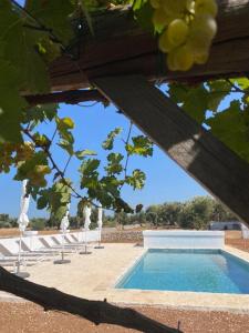 a swimming pool with a table and some grapes at Masseria Purgatorio in Fasano