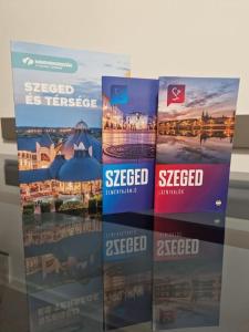 Fotografia z galérie ubytovania Püspök Flat v Segedíne