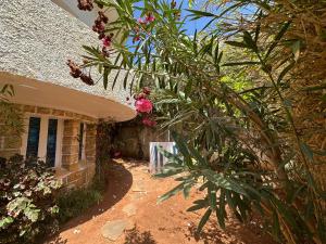 una casa con algunas plantas delante de ella en Villa la tour, vue Mer, vue Panoramique, en Saidia 