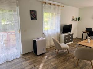 TV a/nebo společenská místnost v ubytování Famielienapartment An der Forellenschänke