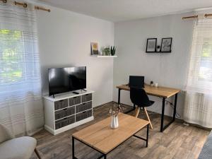 TV a/nebo společenská místnost v ubytování Famielienapartment An der Forellenschänke