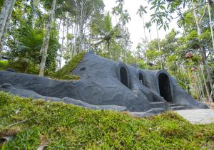 Giardino di Wildside Wayanad