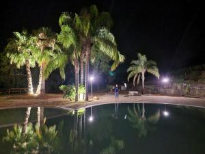 Φωτογραφία από το άλμπουμ του B&B Papanonno - Relax vicino Palinuro σε Centola +14 φωτογραφίες