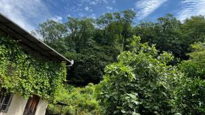 A garden outside Ezo