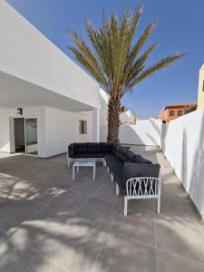 卡勒达德福斯特Hoy Caleta Apartments的相册照片